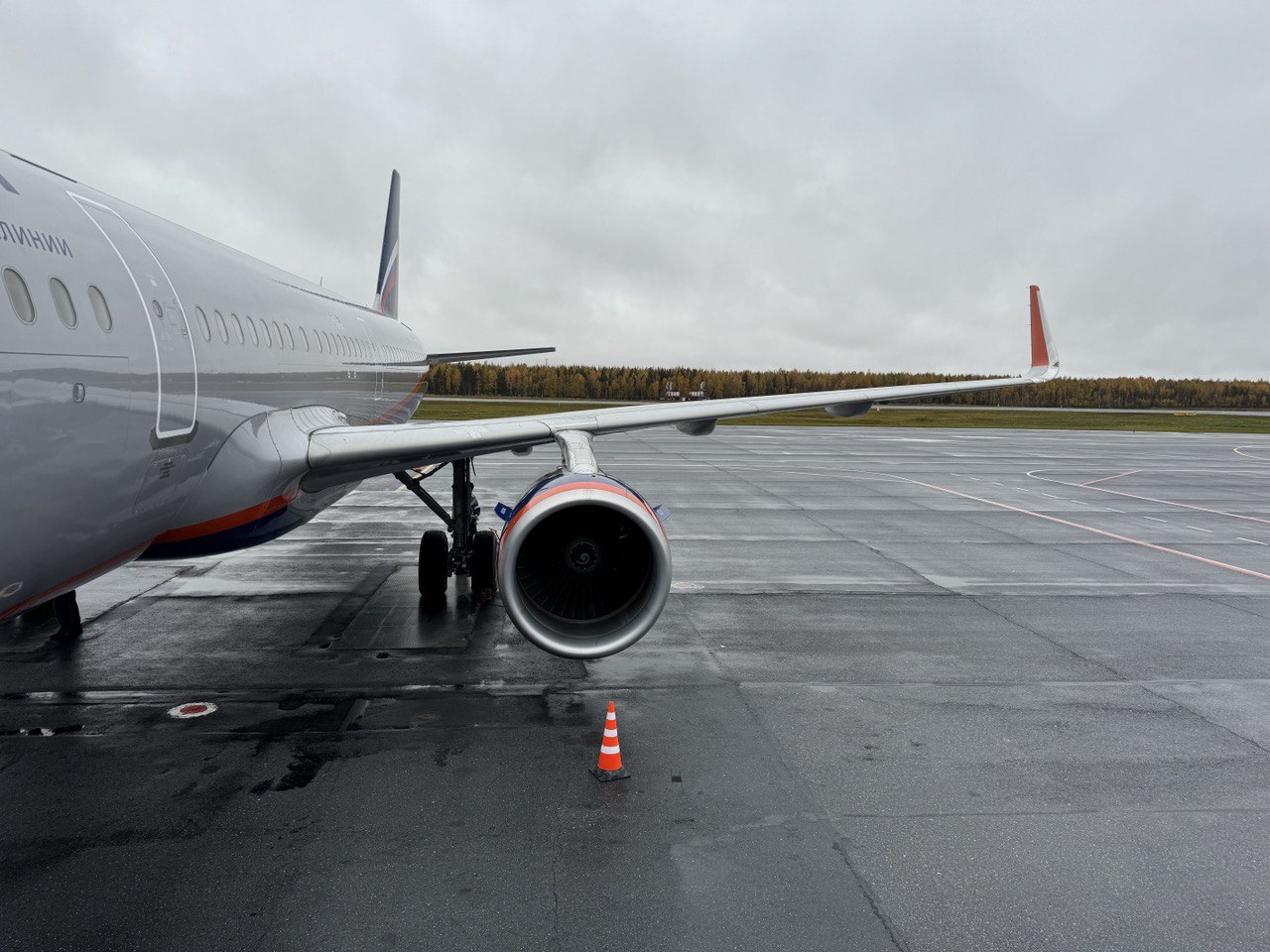 5224640412516477232 (2).jpg